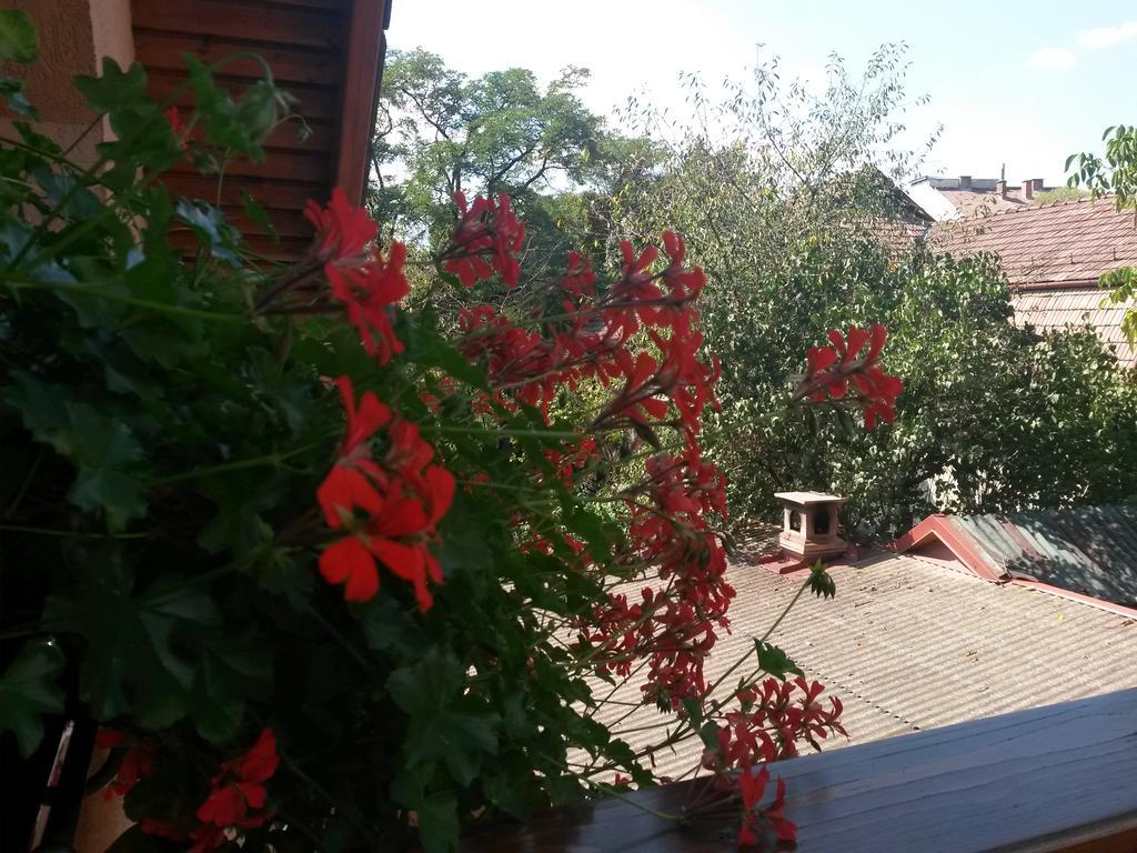 Pensiunea Lőrincz *** Panzió Sovata Exterior foto