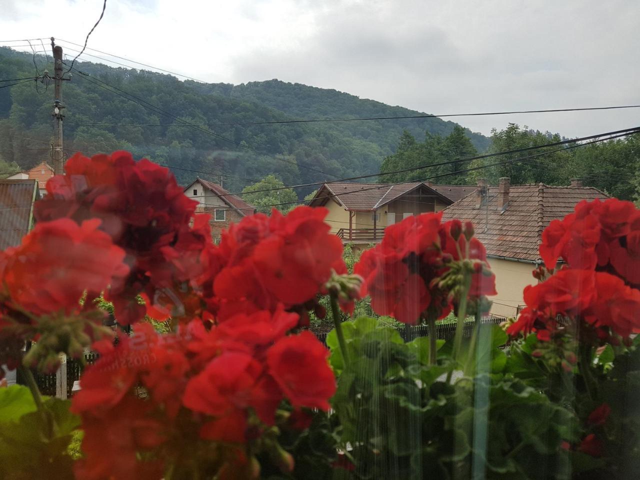 Pensiunea Lőrincz *** Panzió Sovata Exterior foto